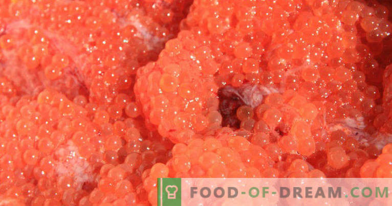 Hur man sätter in röd kaviar hemma ordentligt och gott