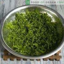 Förberedelse av gröna för vintern: kryddor för sallader och soppor med vitlök, ...
