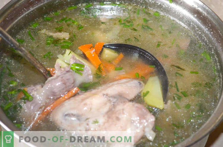 Soppa med kycklinggiblets, eller hur man lagar Gleb Zheglov-soppa - recept
