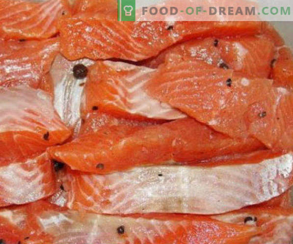 Saltning av röda fiskar hemma recept och rekommendationer