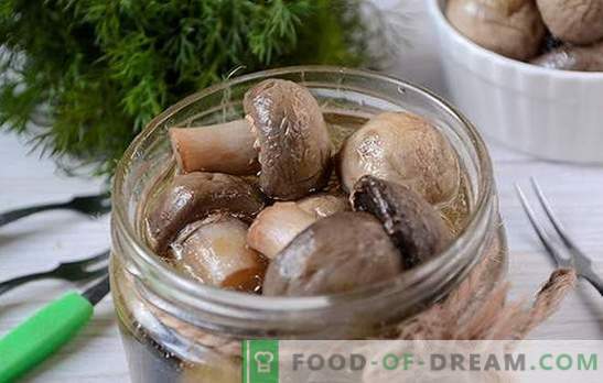 Snabbmarinerad mushroom: hemligheten av ättika marinade. Fotoprecept för beredning av marinerade champignoner