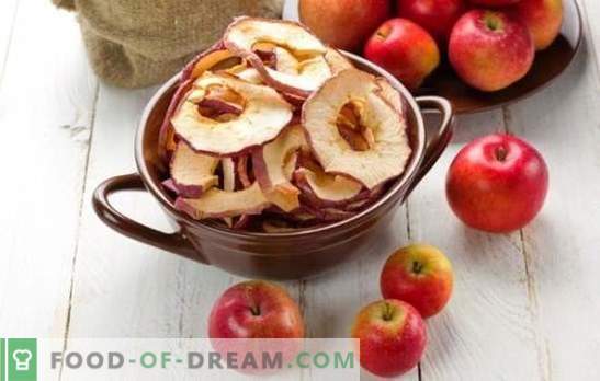 Hur man torkar äpplen hemma är en enkel lösning för sommarskörd. Vad ska man laga från torkade äpplen hemma?