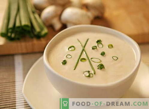 Creamsoppa - de bästa recepten. Hur ordentligt och laga gräddesoppa.
