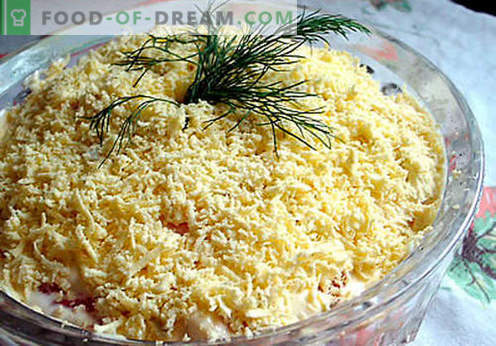 Sallad med smältost - ett urval av de bästa recepten. Hur till rätt och välsmakande kokad sallad med smält ost.