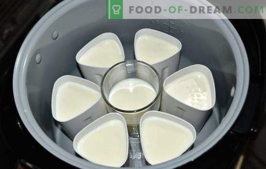 Yoghurt i en crock-pot i burkar är en hälsosam välsmakande delikatess. Varianter av yoghurt från multikökaren i burkar