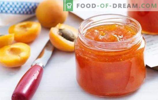 Aprikos konfekt - en delikat efterrätt med solens smak. Ett urval av recept för aprikos konfiture för te, för vintern, för bakning