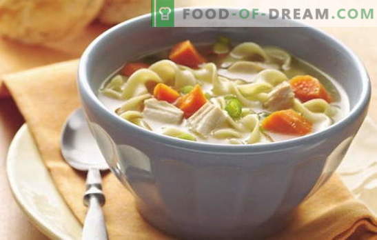 Enkla dagliga soppor - 7 bästa recept. Hur man lagar en enkel soppa för varje dag: svamp, kyckling, fisk, etc.