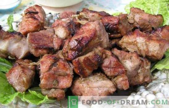 Marinade för fläskkebab med kefir - öm! Samling av marinade recept för kött på elden: marinade för fläsk med kefir