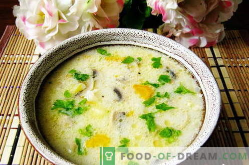 Soppor med ris - de bästa recepten. Hur man ska ordentligt och gott kokssoppa med ris.