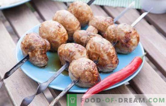 Grillad mushroom - det ursprungliga mellanmålet! Hur man lagar läckra mushrooms på grillen: recept och subtiliteter