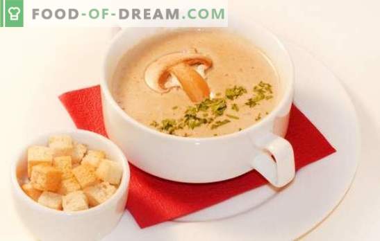 Mushroomspuré soppa är en delikat version av en favoriträtt. De bästa recepten av svampkräksoppa: med grädde, med ost, ris, konjak, räkor