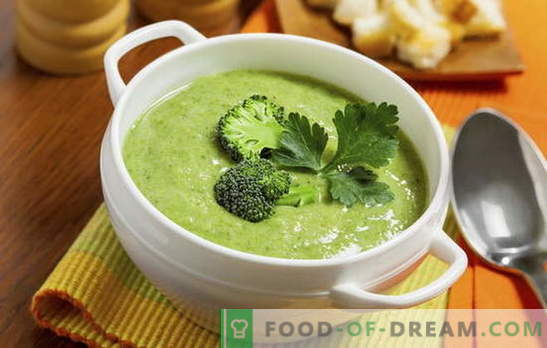 Broccoli Creamsoppa: recept för kost och grundläggande näring. Olika recept för grädde - soppa från enkel till komplex broccoli