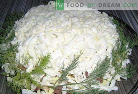 Vita sallader - de bästa recepten. Hur man ordentligt och utsökt kokad vit sallad.