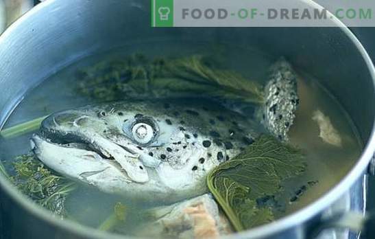 Fiskhuvudssoppa - recept och matlagningsfinesser. Soppor från fiskhuvud med ris, hirs, grönsaker