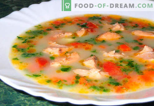Laxsoppa - de bästa recepten. Hur rätt och välsmakande kock lax soppa.