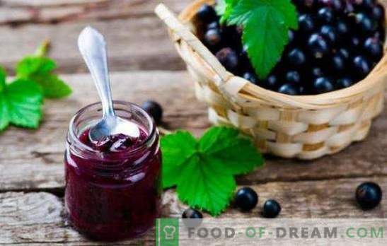 Svartvinbärsgelé är ett skafferi av hälsa. Hur man lagar läcker och hälsosam svartvinbär med citrus, krusbär, hallon