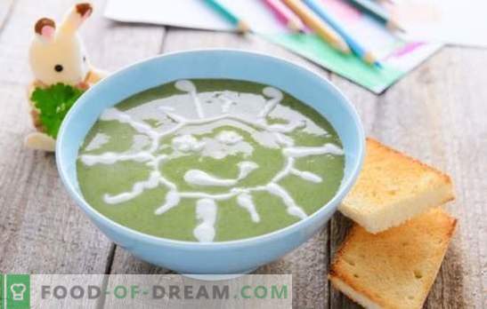 Soup-puree för barn - rätter från rymdmenyn! Ett urval av olika soppor för barn med spannmål, grönsaker, kött