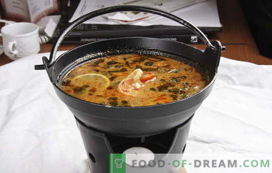 Thai soppa är exotisk i ditt kök. Recept för thailändska soppor med nötkött, fisk, kyckling, skaldjur, grönsaker och svamp