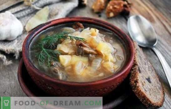 Sockerkålssoppa med svampar: traditionell och original. Hemligheter av kål soppa med svampar, bovete, bönor, korn