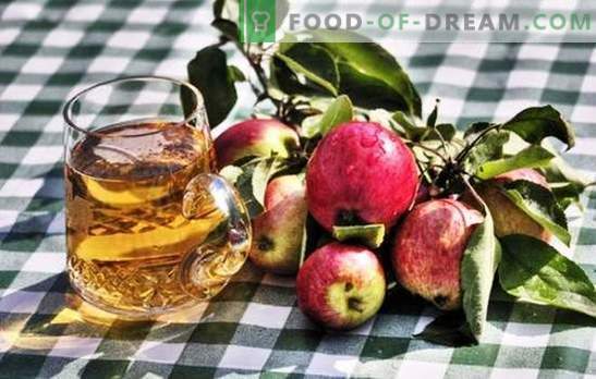 Göra hemlagad äppelcider - naturlig produkt! Hur man förbereder råvaror för äppelcider hemma