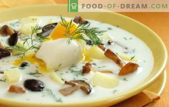 Svamp soppa - det är enkelt och användbart! De enklaste recepten för soppa gjorda av svampar: med kött, flingor, i krukor, pickle och hodgepodge