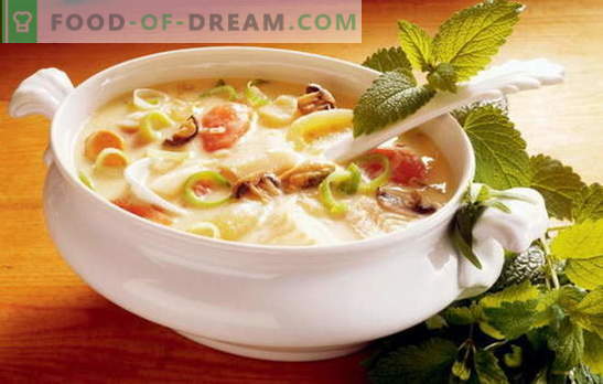 Receptet på en god vegetabilisk soppa är grunden för rätt näring. Ett urval av de bästa recepten för god vegetabilisk soppa från olika grönsaker