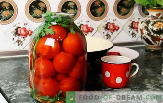 De bästa recepten på tomater under kapronhöljet. Hur man förbereder tomater under kapronhöljet: tips från erfarna värdinnor