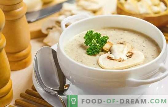 Doftande mushroomsoppa: Steg-för-steg recept. Förbered en enkel påfyllning och europeisk krämsoppa med mushrooms (steg för steg)