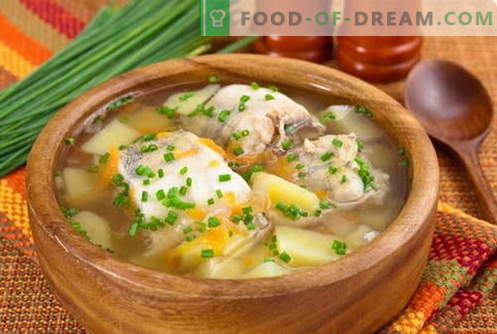 Fisksoppa - de bästa recepten. Hur till rätt och god matlagssoppa.