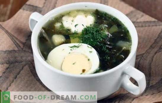 Grön soppa - vitaminladdning och ljus smak! Recept av olika grönsoppa med sorrel och med kål, svamp, fisk, nässlor, bönor