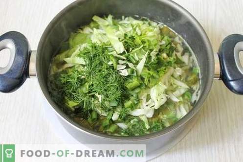 Grön soppa av unga grönsaker - sommarrätt för varje dag