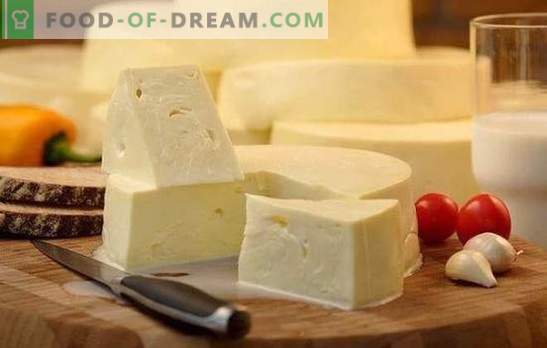 Hur man snabbt lagar suluguni hemma: receptet på ung vit ost. Matar mjukt suluguni ost hemma