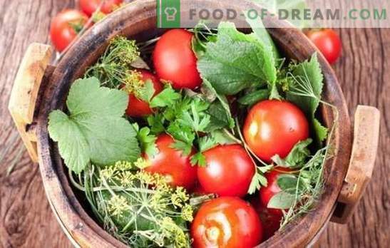 Pickling tomater för vintern: receptämnen från hela och skivade tomater. Reveal hemligheterna av framgångsrika salttomater för vintern