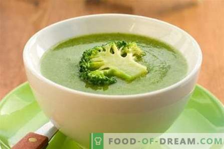 Broccoli soppa - de bästa recepten. Hur till rätt och välsmakande kock broccoli soppa.