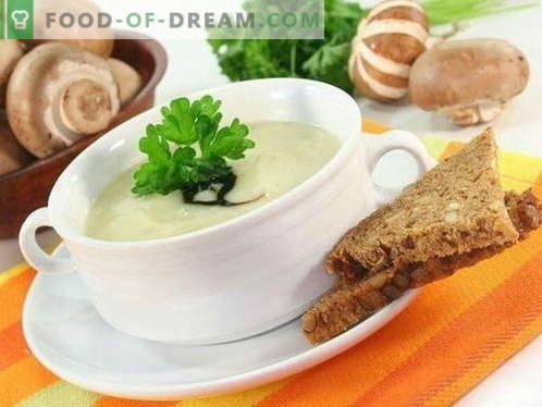 Svampsoppa - de bästa recepten. Hur till rätt och välsmakande soppkocksoppa.