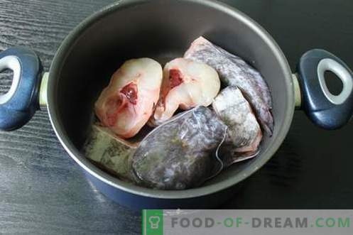 Catfish soppa - hur man lagar det ordentligt och gott (recept med foton)