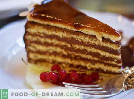 Tårta tillverkade av kakan - de bästa recepten. Hur rätt och gott att göra en tårta från kakan.