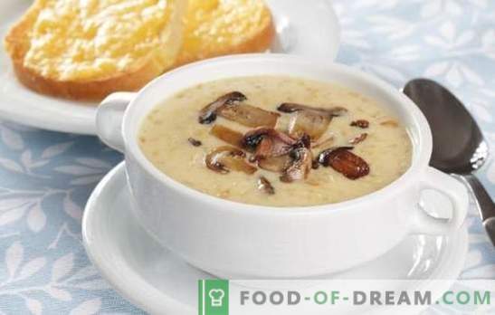 Ostssoppa med mushrooms - överraskning hem ovanlig middag. Recept för ost soppa med svampar: läs och laga mat!