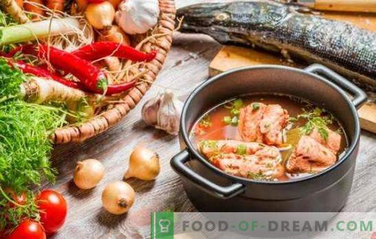 Rödfinsoppa - utmärkt smak och maximal nytta. Ett urval av de bästa recepten av röd fisk soppa med hirs, tomater, röd kaviar