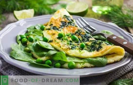 Kostomelett är en gudstjänst för adepter av hälsosam kost. Recept diet omelet ångas i ugnen, långsam spis, mikrovågsugn