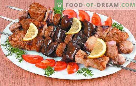 Turkiet kebab: recept för ömt kött. Hemligheter av marinade för kalkonkebabar: kryddig, snabb, kefir, vin