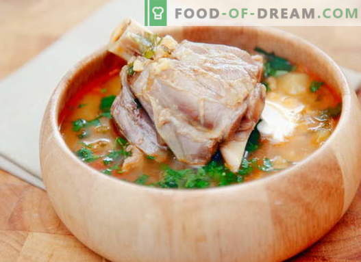 Köttfärssoppa - de bästa recepten. Hur till rätt och välsmakande kock lamm soppa.