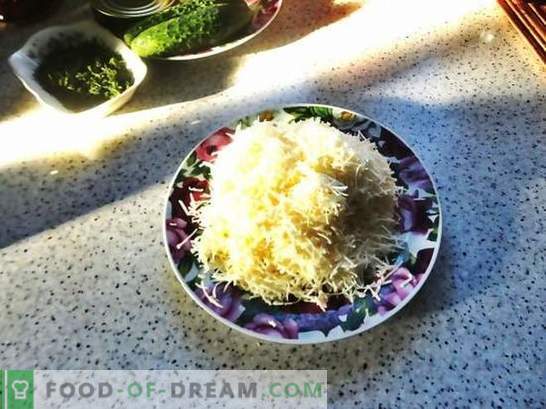 Lavashrulle med smält ost: ett budgetmat. Steg-för-steg fotorecept av pitabrödsrull med smältost: enkelt och gott!