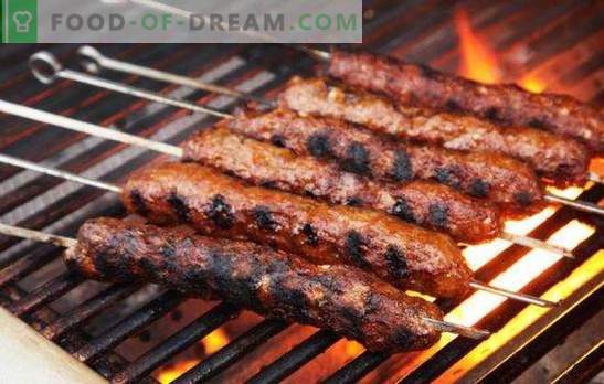 Kebab på en spett är en skatt av orientalisk mat. Hepatisk, fisk och klassisk hackad - alternativ kebab skewer