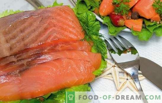 Salmone salmone a casa: delicatezza conveniente! Ricette salmone rosa salato e segreti per salarlo a casa