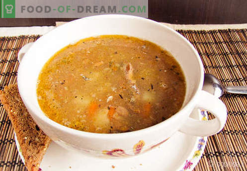 Saury Soup - beprövade recept. Hur till rätt och välsmakande kokssoppa.
