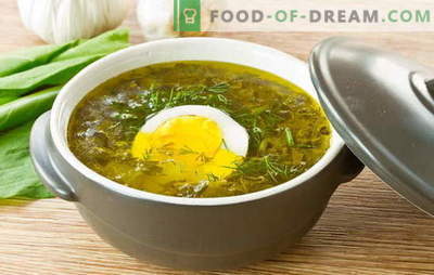 Surrssoppa - sommar humörkostnad! Recept för oxalsoppa med ägg, köttbullar, ris, kyckling, gryta