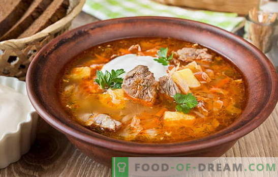 Färskkålssoppa - 10 bästa recept. Varianter av kål soppa med nötkött, kyckling, fläsk, rökt kött, bönor