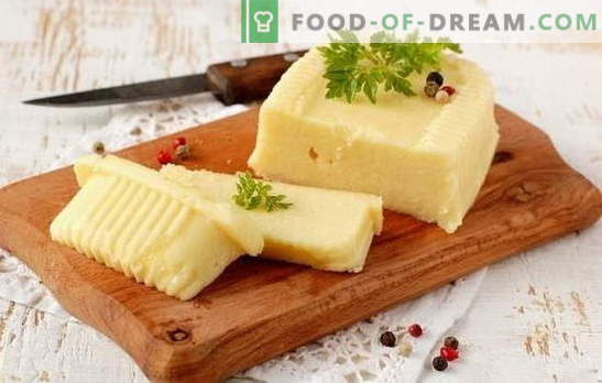 Hur man gör ost från mjölk med egna händer: mjuk och hård. Recept för ost från mjölk hemma och teknik