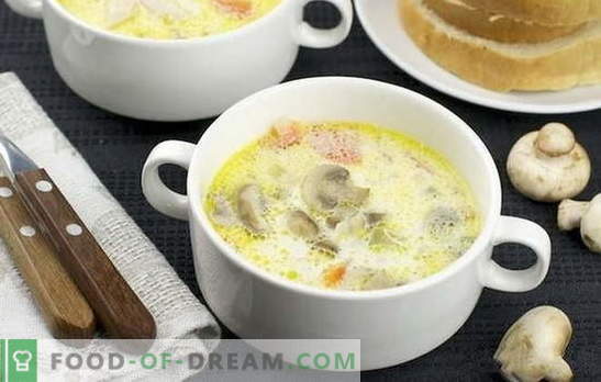 Krämig mushroomsoppa: klassisk och original. Recept lätt svampcreme soppa för företag och hem middag